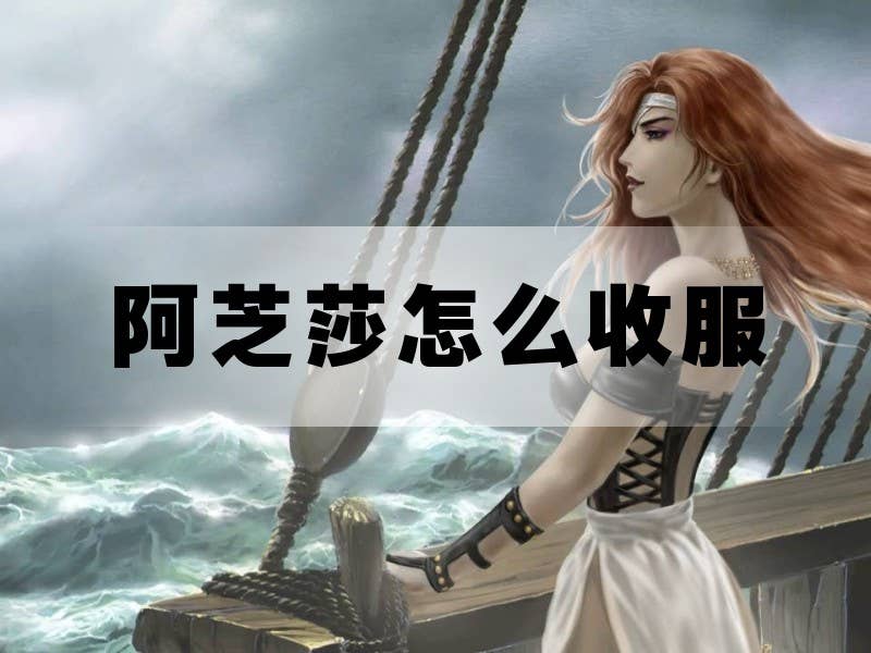 大航海时代4阿芝莎怎么收服